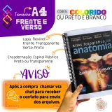Impressão A4  Frente e Verso Colorido 75g 3